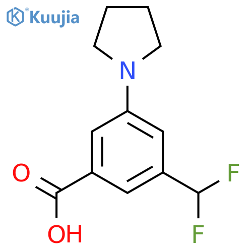 3-(Difluoromethyl)-5-pyrrolidin-1-ylbenzoic acid structure