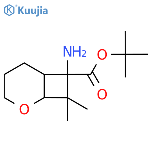 Tert-butyl 7-amino-8,8-dimethyl-2-oxabicyclo[4.2.0]octane-7-carboxylate structure