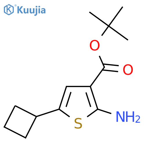 Tert-butyl 2-amino-5-cyclobutylthiophene-3-carboxylate structure