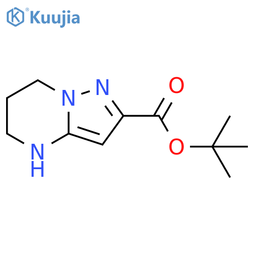 Pyrazolo[1,5-a]pyrimidine-2-carboxylic acid, 4,5,6,7-tetrahydro-, 1,1-dimethylethyl ester structure