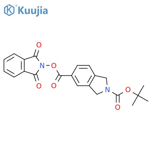 2-tert-butyl 5-(1,3-dioxo-2,3-dihydro-1H-isoindol-2-yl) 2,3-dihydro-1H-isoindole-2,5-dicarboxylate structure