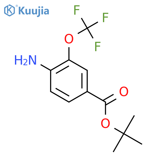 Tert-butyl 4-amino-3-(trifluoromethoxy)benzoate structure
