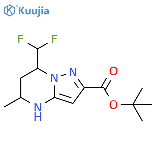 tert-butyl 7-(difluoromethyl)-5-methyl-4H,5H,6H,7H-pyrazolo1,5-apyrimidine-2-carboxylate structure