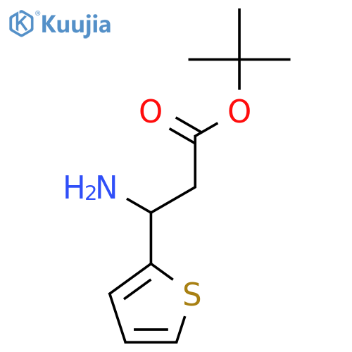 Tert-butyl 3-amino-3-thiophen-2-ylpropanoate structure