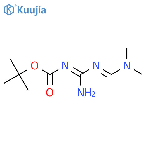 Tert-butyl (NE)-N-[amino-[(E)-dimethylaminomethylideneamino]methylidene]carbamate structure