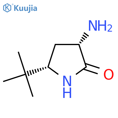 rac-(3R,5R)-3-amino-5-tert-butylpyrrolidin-2-one structure