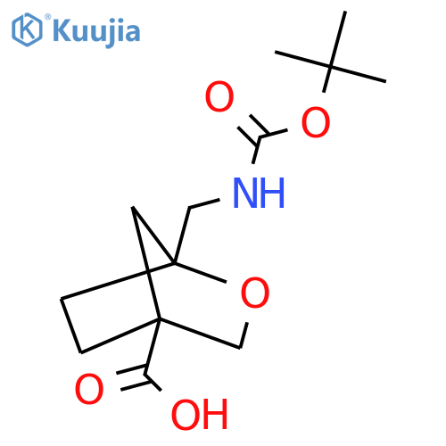 1-[[(2-Methylpropan-2-yl)oxycarbonylamino]methyl]-2-oxabicyclo[2.2.1]heptane-4-carboxylic acid structure