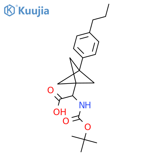 2-[(2-Methylpropan-2-yl)oxycarbonylamino]-2-[3-(4-propylphenyl)-1-bicyclo[1.1.1]pentanyl]acetic acid structure
