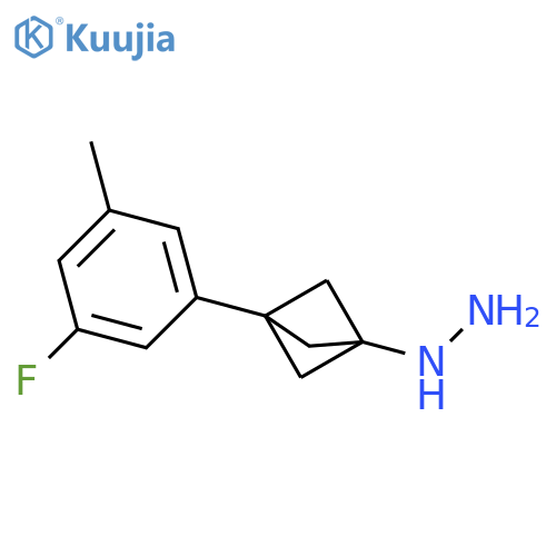 [3-(3-Fluoro-5-methylphenyl)-1-bicyclo[1.1.1]pentanyl]hydrazine structure