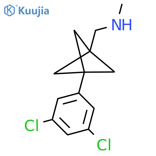 {[3-(3,5-Dichlorophenyl)bicyclo[1.1.1]pentan-1-yl]methyl}(methyl)amine structure