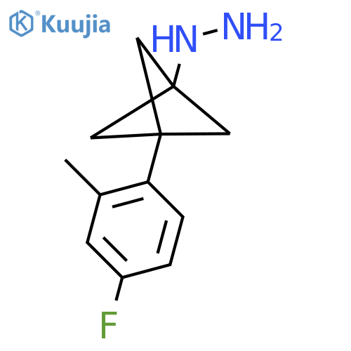 [3-(4-Fluoro-2-methylphenyl)-1-bicyclo[1.1.1]pentanyl]hydrazine structure