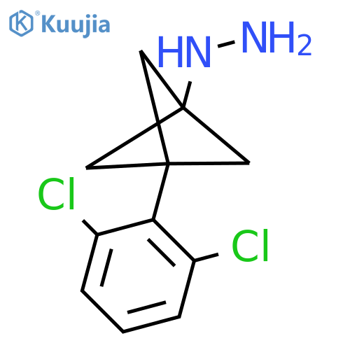 [3-(2,6-Dichlorophenyl)-1-bicyclo[1.1.1]pentanyl]hydrazine structure