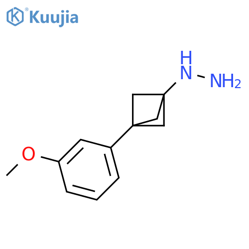 [3-(3-Methoxyphenyl)bicyclo[1.1.1]pent-1-yl]hydrazine structure