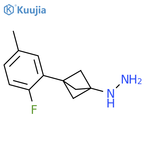 [3-(2-Fluoro-5-methylphenyl)-1-bicyclo[1.1.1]pentanyl]hydrazine structure