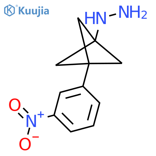 [3-(3-Nitrophenyl)-1-bicyclo[1.1.1]pentanyl]hydrazine structure