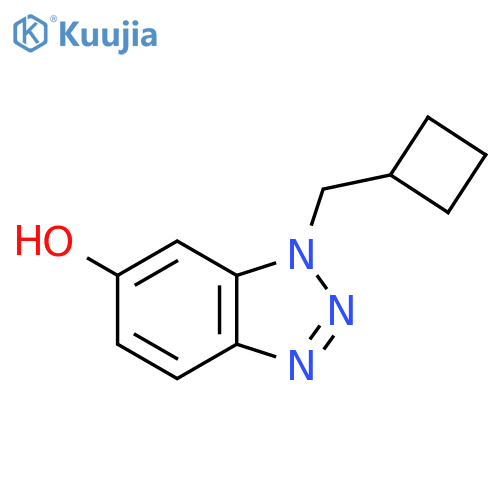 1-(cyclobutylmethyl)-1H-1,2,3-benzotriazol-6-ol structure