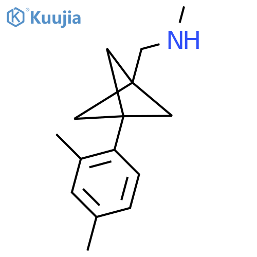 1-[3-(2,4-Dimethylphenyl)-1-bicyclo[1.1.1]pentanyl]-N-methylmethanamine structure