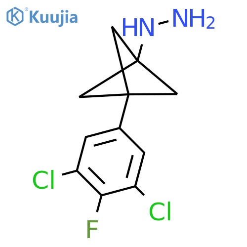 [3-(3,5-Dichloro-4-fluorophenyl)-1-bicyclo[1.1.1]pentanyl]hydrazine structure