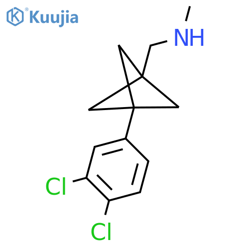 {[3-(3,4-Dichlorophenyl)bicyclo[1.1.1]pentan-1-yl]methyl}(methyl)amine structure