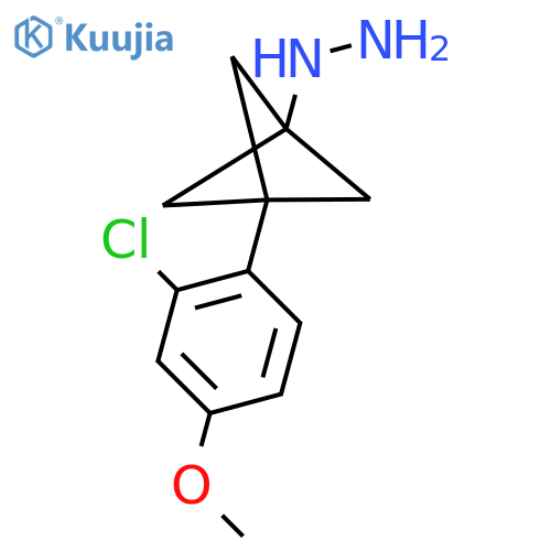 [3-(2-Chloro-4-methoxyphenyl)-1-bicyclo[1.1.1]pentanyl]hydrazine structure