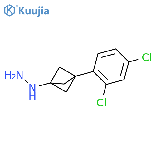 [3-(2,4-Dichlorophenyl)-1-bicyclo[1.1.1]pentanyl]hydrazine structure