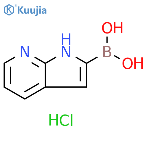1H-pyrrolo[2,3-b]pyridin-2-ylboronic acid;hydrochloride structure