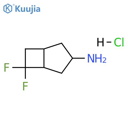 6,6-difluorobicyclo[3.2.0]heptan-3-amine;hydrochloride structure