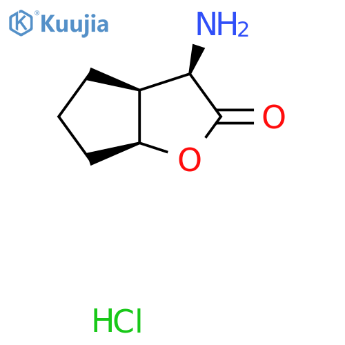 rac-(3R,3aS,6aS)-3-amino-hexahydro-2H-cyclopenta[b]furan-2-one hydrochloride structure
