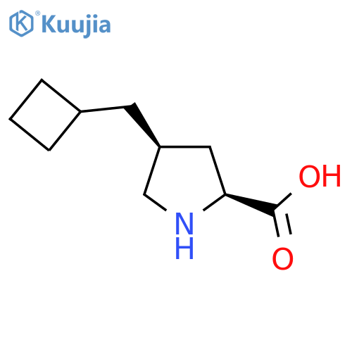 rac-(2R,4R)-4-(cyclobutylmethyl)pyrrolidine-2-carboxylic acid structure