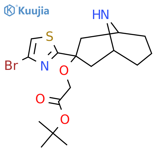 Tert-butyl 2-{[3-(4-bromo-1,3-thiazol-2-yl)-9-azabicyclo[3.3.1]nonan-3-yl]oxy}acetate structure