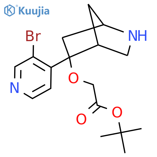 Tert-butyl 2-{[5-(3-bromopyridin-4-yl)-2-azabicyclo[2.2.1]heptan-5-yl]oxy}acetate structure