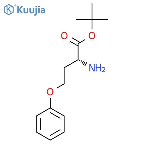 tert-butyl (2R)-2-amino-4-phenoxybutanoate structure