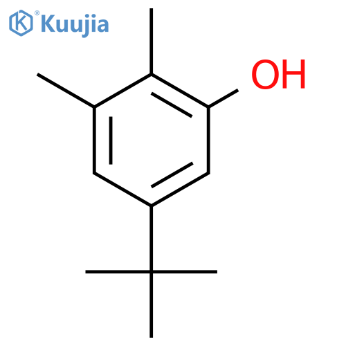 5-tert-butyl-2,3-dimethylphenol structure