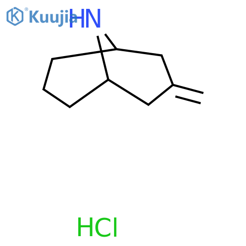 3-Methylidene-9-azabicyclo[3.3.1]nonane;hydrochloride structure