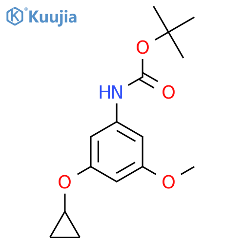 tert-butyl N-(3-cyclopropoxy-5-methoxyphenyl)carbamate structure