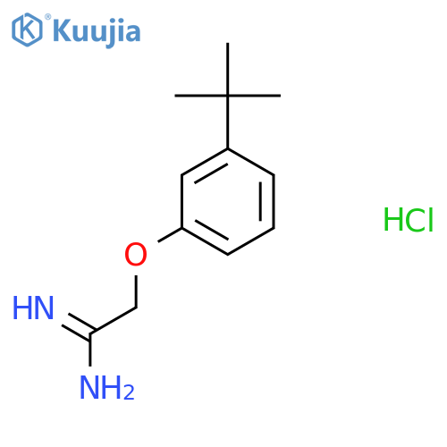 2-(3-tert-Butyl-phenoxy)-acetamidine structure