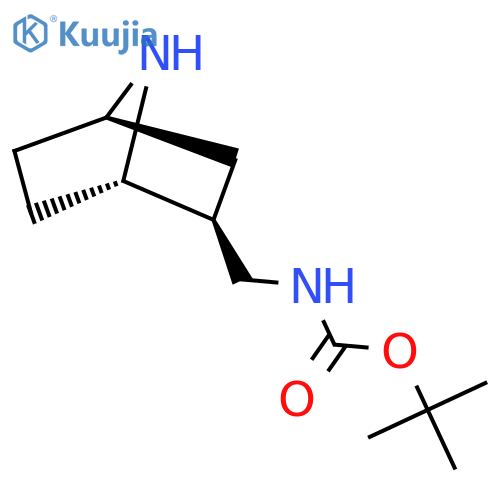 Tert-butyl N-[[(1S,2S,4R)-7-azabicyclo[2.2.1]heptan-2-yl]methyl]carbamate structure
