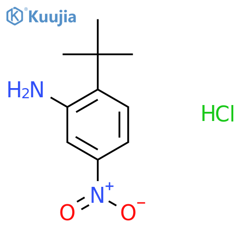 2-Tert-butyl-5-nitroaniline hydrochloride structure