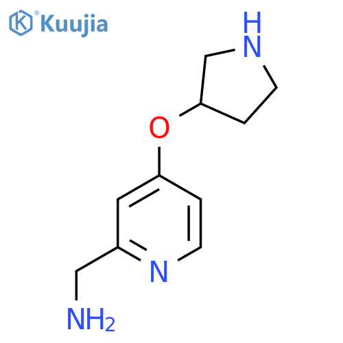 [4-(Pyrrolidin-3-yloxy)pyridin-2-yl]methanamine structure