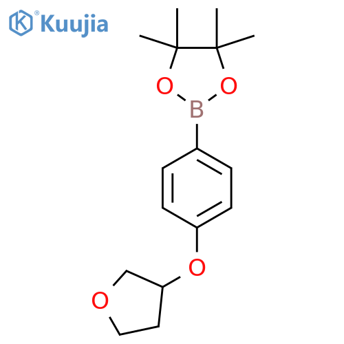 4,4,5,5-tetramethyl-2-4-(oxolan-3-yloxy)phenyl-1,3,2-dioxaborolane structure