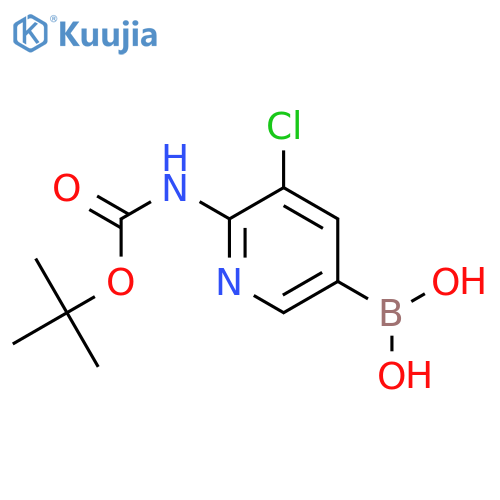 2-Boc-amino-3-chloro-pyridine-5-boronic acid structure