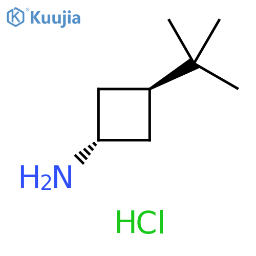 Cyclobutanamine, 3-(1,1-dimethylethyl)-, hydrochloride (1:1), trans- structure