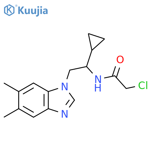 2-chloro-N-[1-cyclopropyl-2-(5,6-dimethyl-1H-1,3-benzodiazol-1-yl)ethyl]acetamide structure