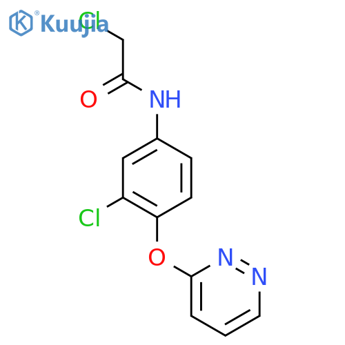 2-chloro-N-3-chloro-4-(pyridazin-3-yloxy)phenylacetamide structure