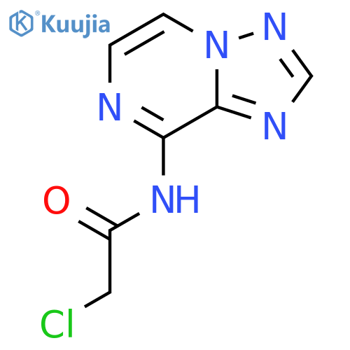 2-chloro-N-{[1,2,4]triazolo[1,5-a]pyrazin-8-yl}acetamide structure