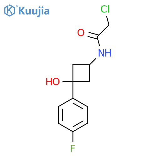 2-Chloro-N-[3-(4-fluorophenyl)-3-hydroxycyclobutyl]acetamide structure