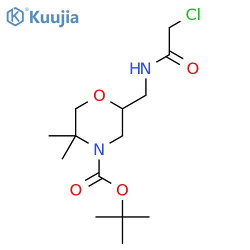 tert-butyl 2-(2-chloroacetamido)methyl-5,5-dimethylmorpholine-4-carboxylate structure
