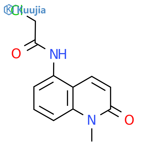 2-chloro-N-(1-methyl-2-oxo-1,2-dihydroquinolin-5-yl)acetamide structure