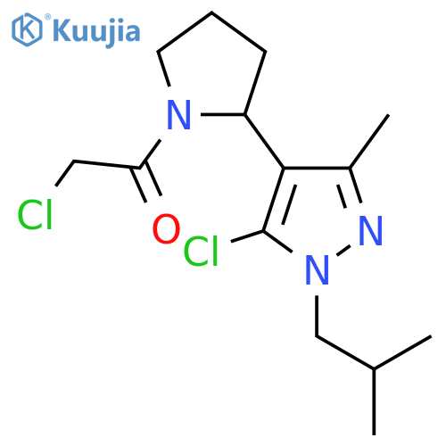 2-chloro-1-{2-5-chloro-3-methyl-1-(2-methylpropyl)-1H-pyrazol-4-ylpyrrolidin-1-yl}ethan-1-one structure