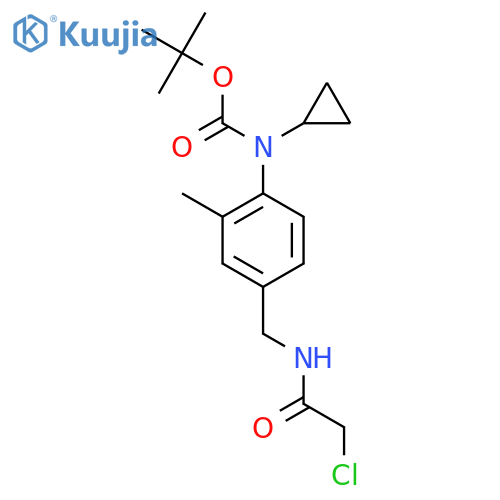 tert-butyl N-{4-(2-chloroacetamido)methyl-2-methylphenyl}-N-cyclopropylcarbamate structure